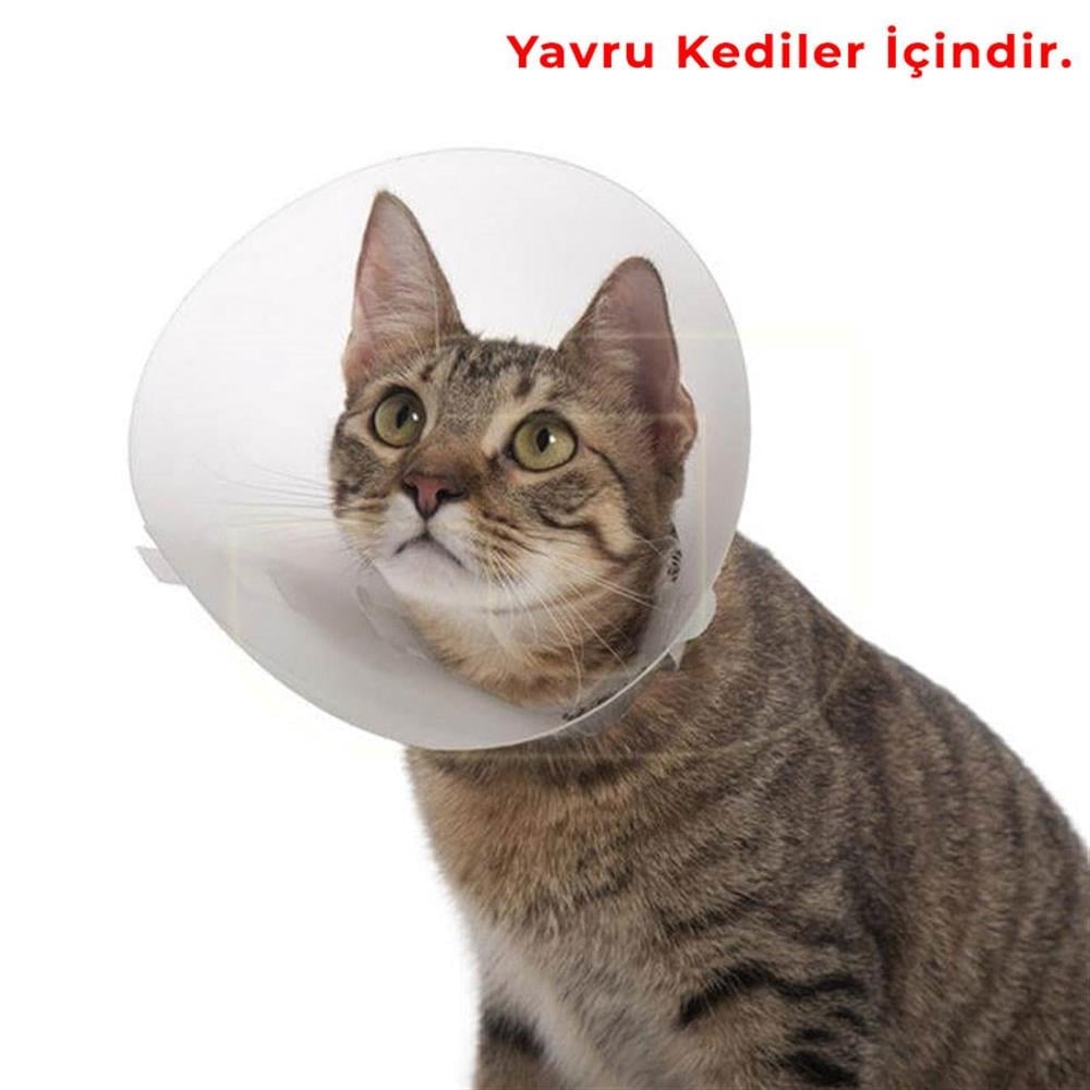 Tales Click Collar Yakalık Şeffaf 50 MM