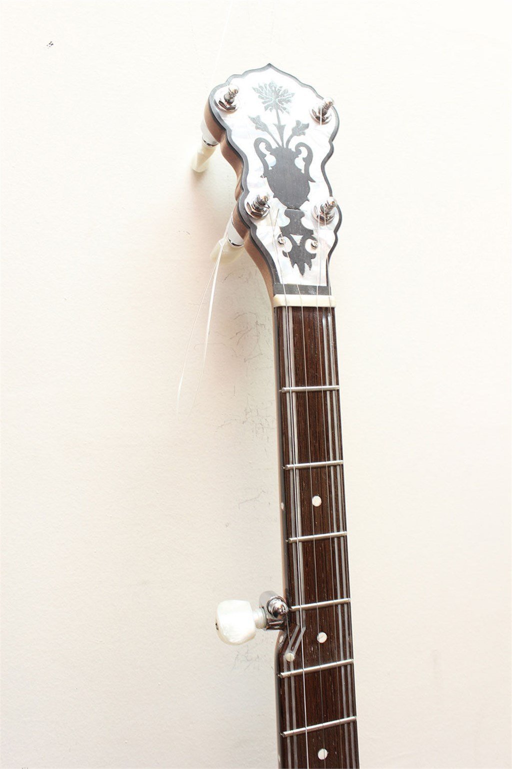 5 Telli Amerikan Banjo