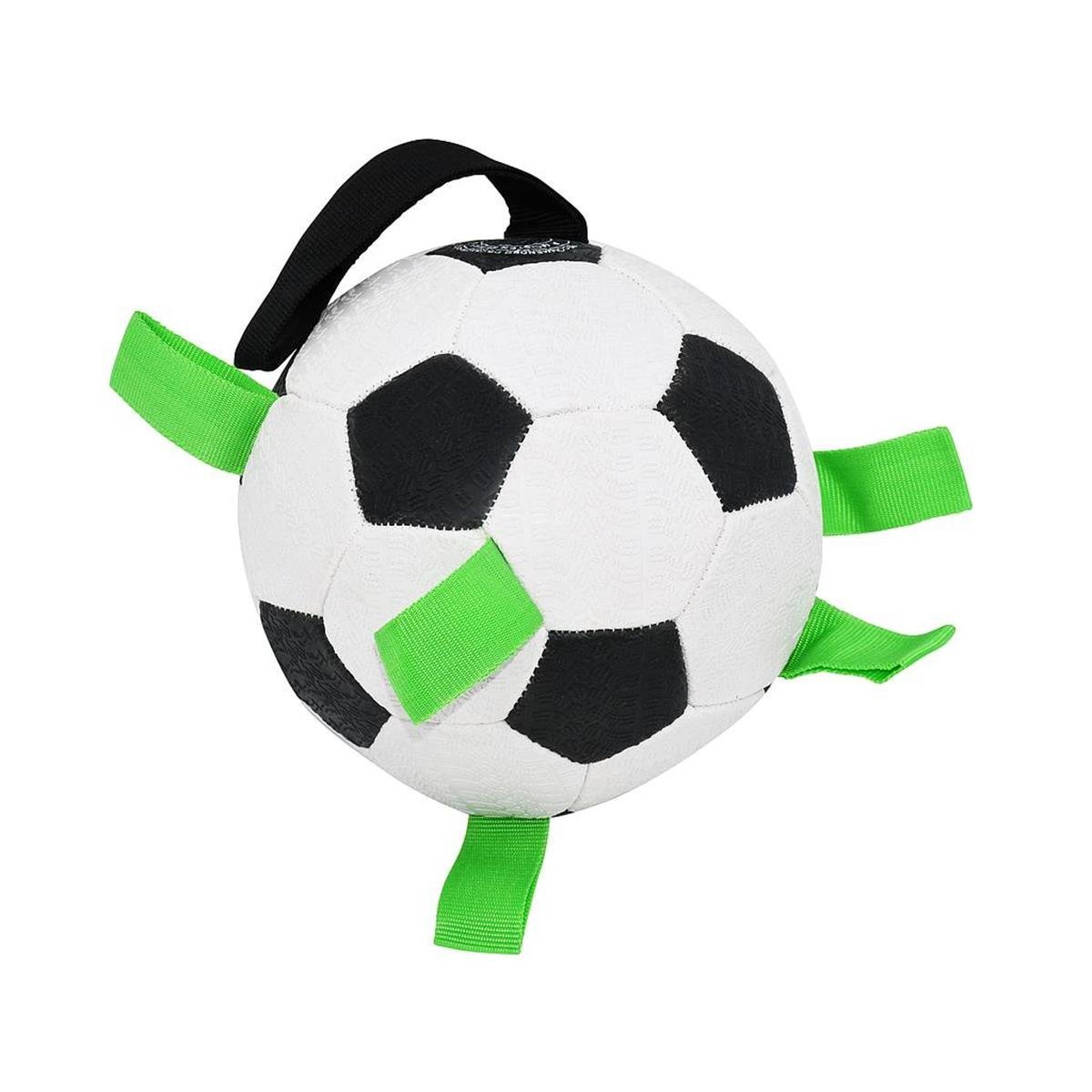 KampTop Köpek İçin Futbol 6.5