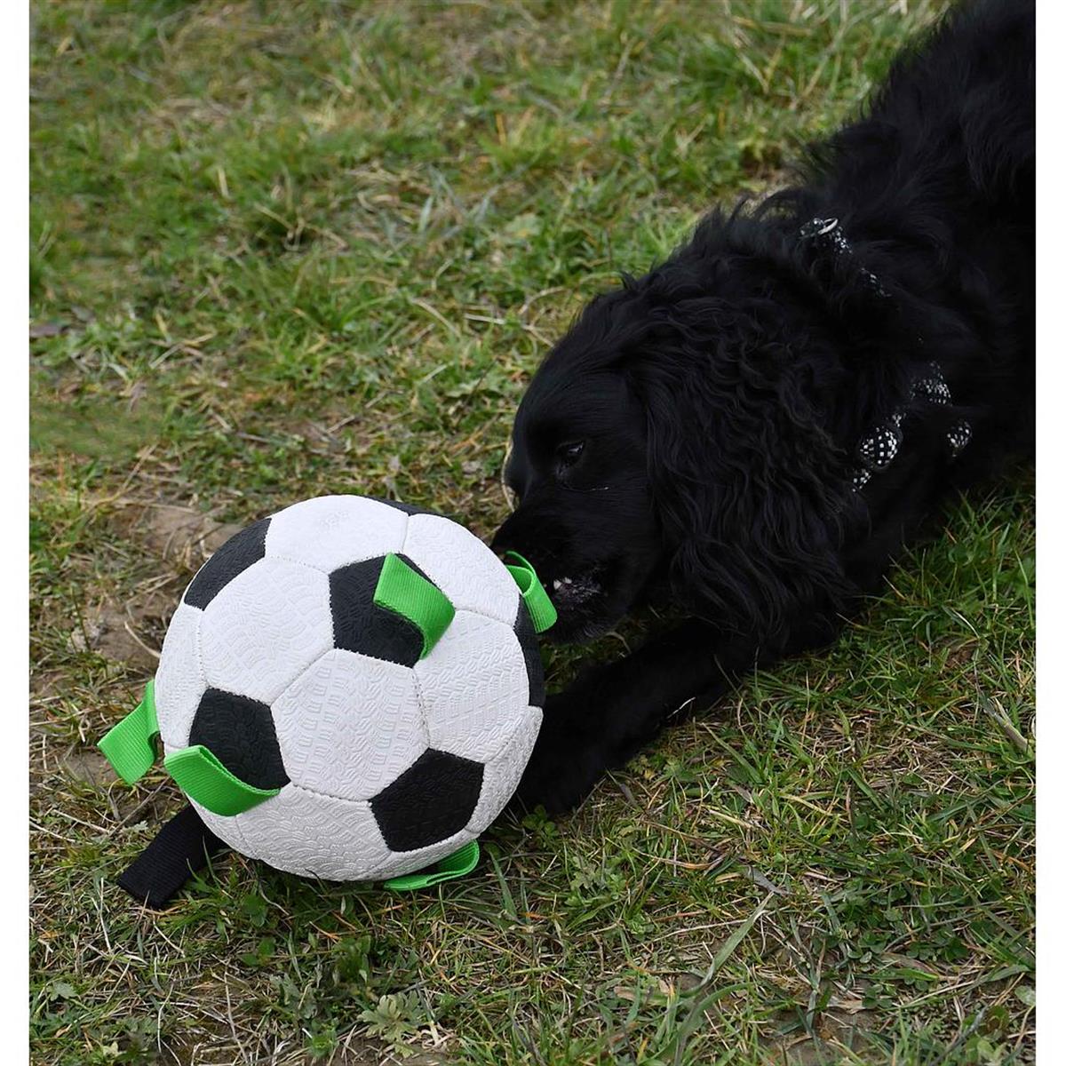 KampTop Köpek İçin Futbol 6.5