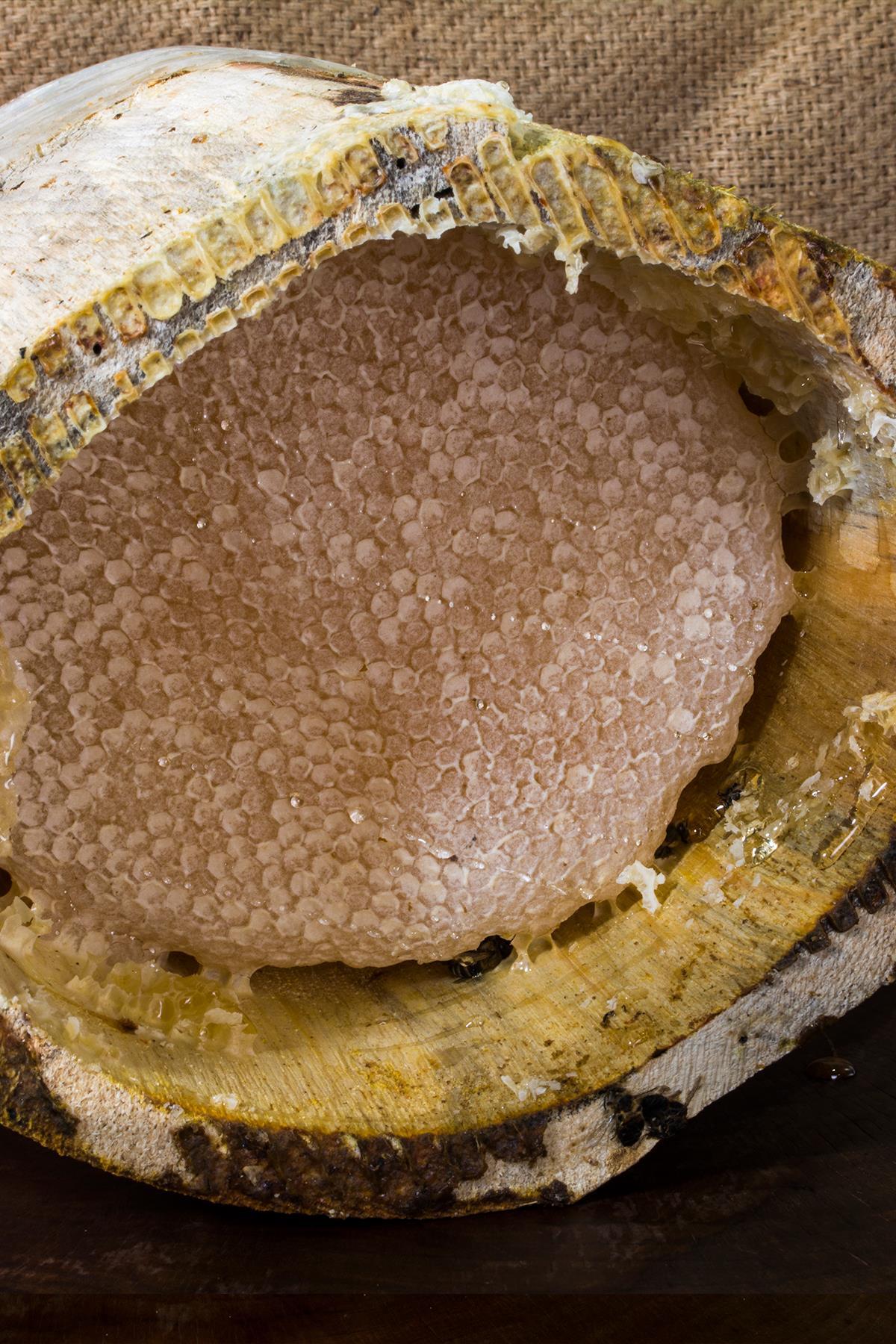 Bingöl Şekersiz Karakovan Kütük Dağ Balı Kahvaltılık 500 g e