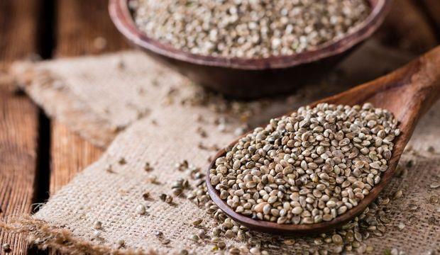 Kenevir Tohumu Kavrulmuş 1000 g e