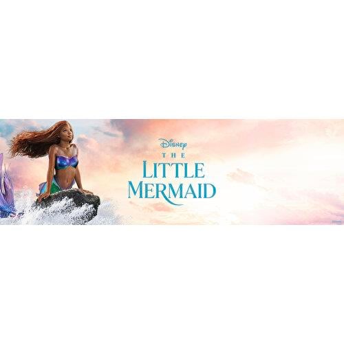 Disney Prenses Küçük Deniz Kızı HLX07 HLX09 Lisanslı Ürün