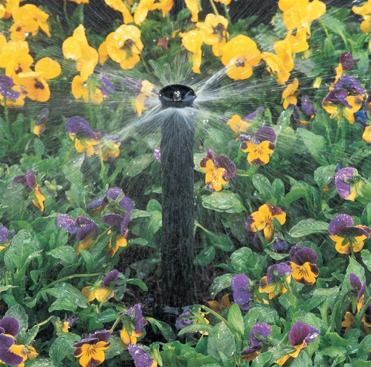 RAINBIRD NOZUL UÇ ŞERİT-15 SERİSİ
