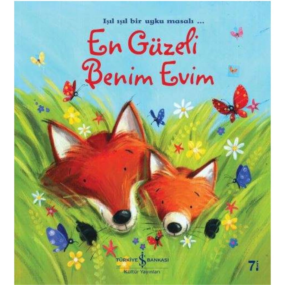 EN GÜZELİ BENİM EVİM