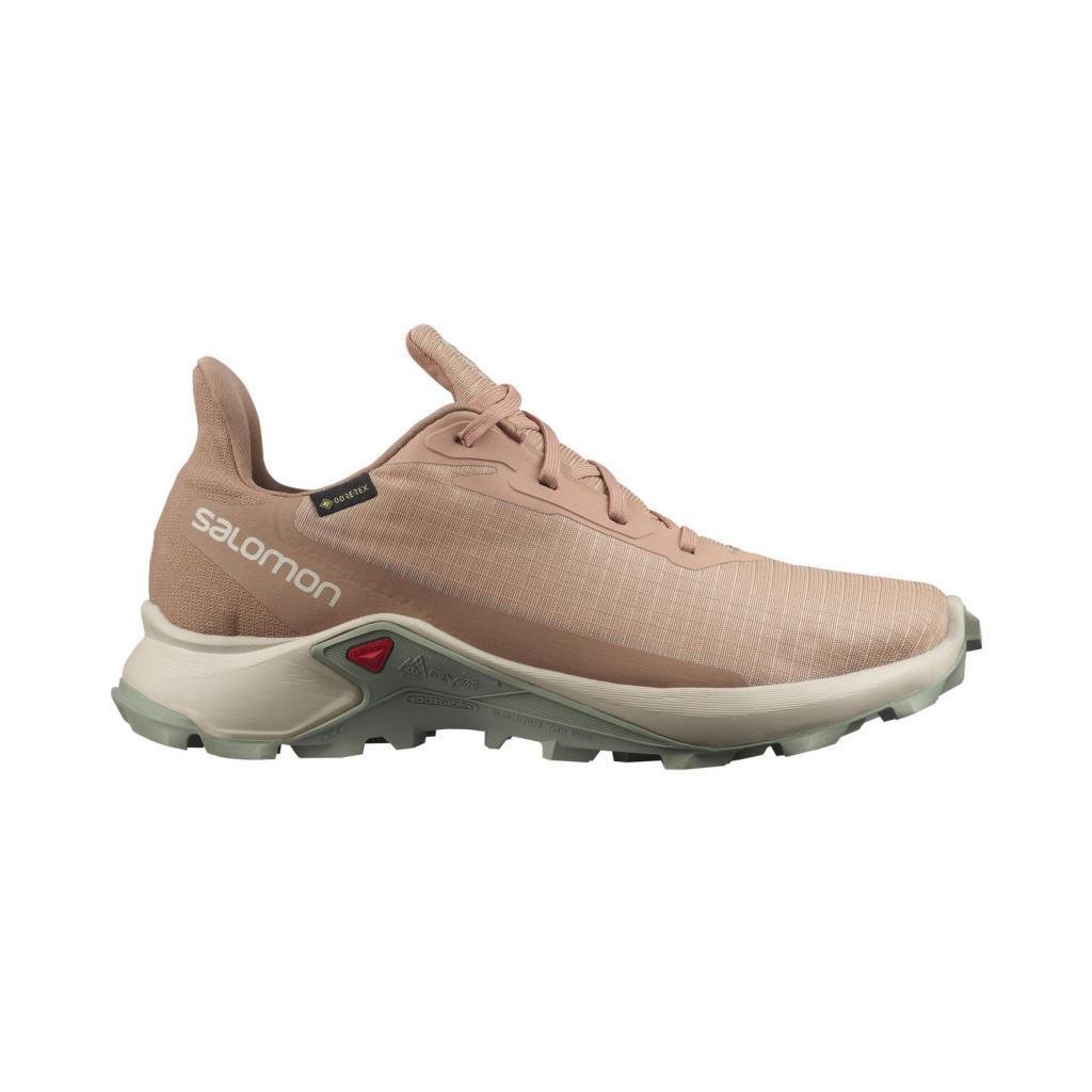 Salomon 414476 Alphacross 3 Gtx Sirocco/Rainy Day/Mocha Mousse Kadın Outdoor Ayakkabı