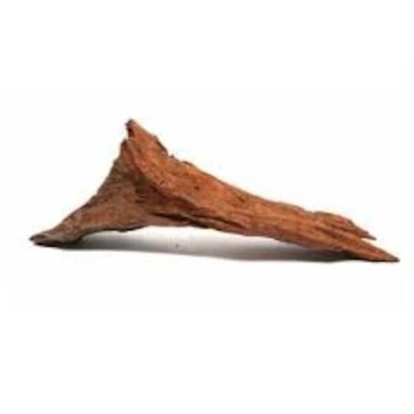 Chicos Mango Kökü 35 Cm