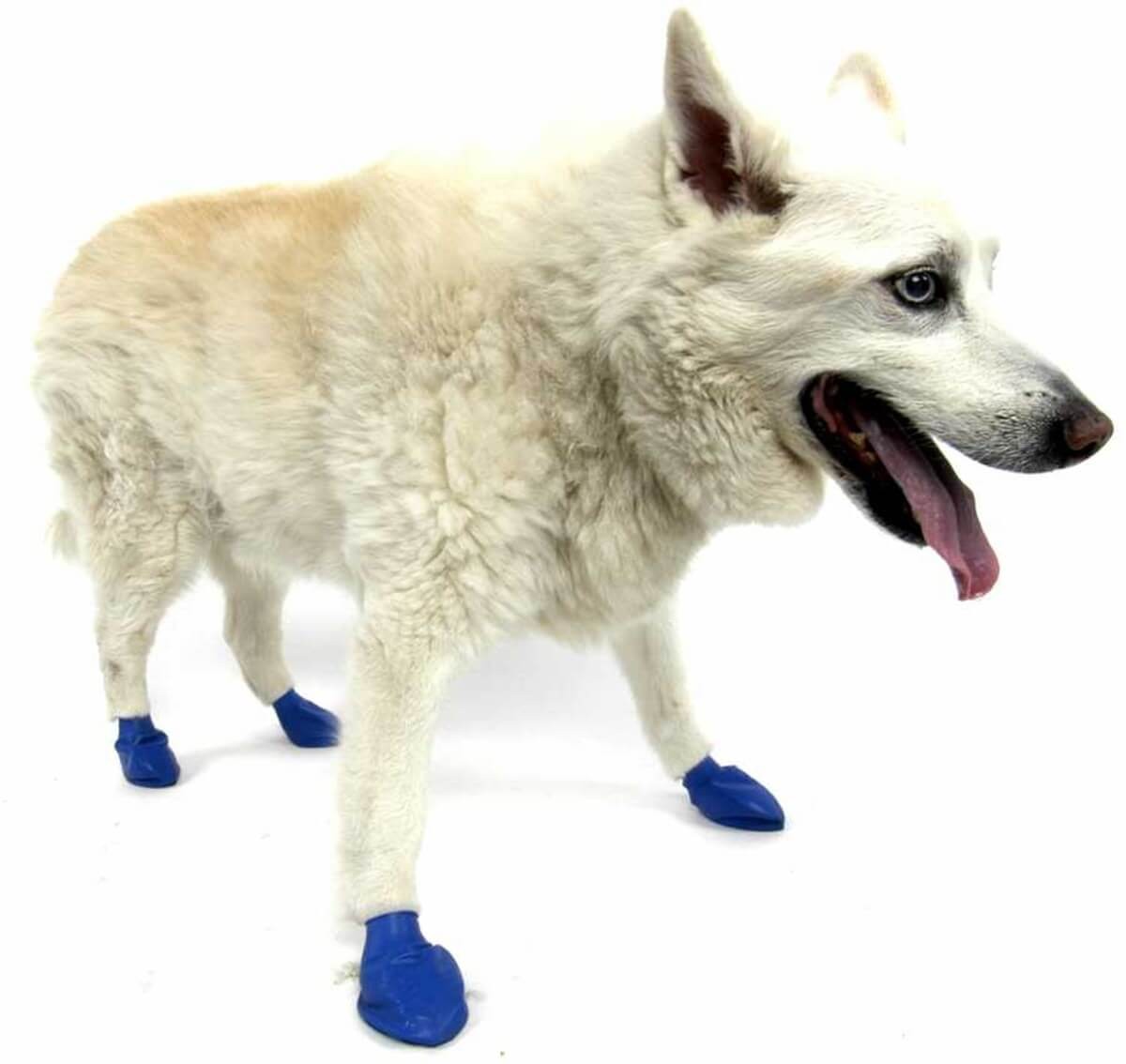 Pawz Köpek Galoşu X Small 12 Adet
