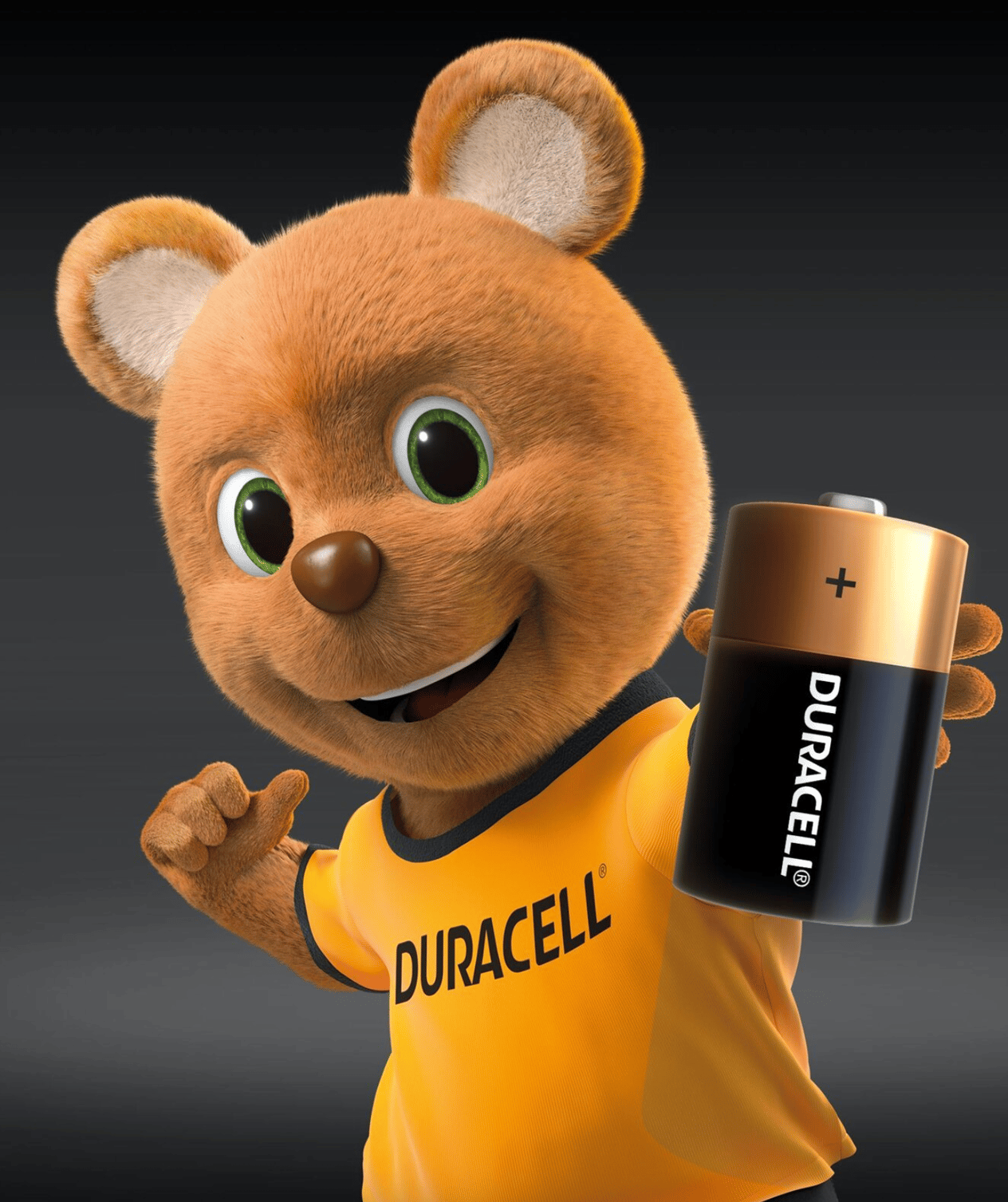 DuracellDuracell D Büyük Pil 2liDuracell D Büyük Pil 2li Fiyatı ve Özellikleri | Mutlufiyatlar