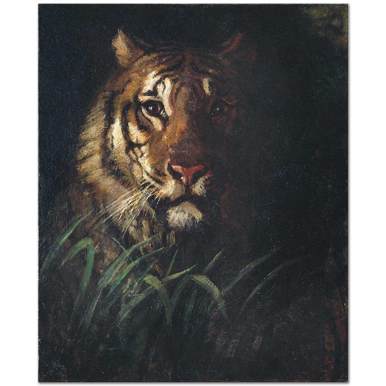 Abbott Handerson Thayer Kaplan Başı Kanvas Tablo