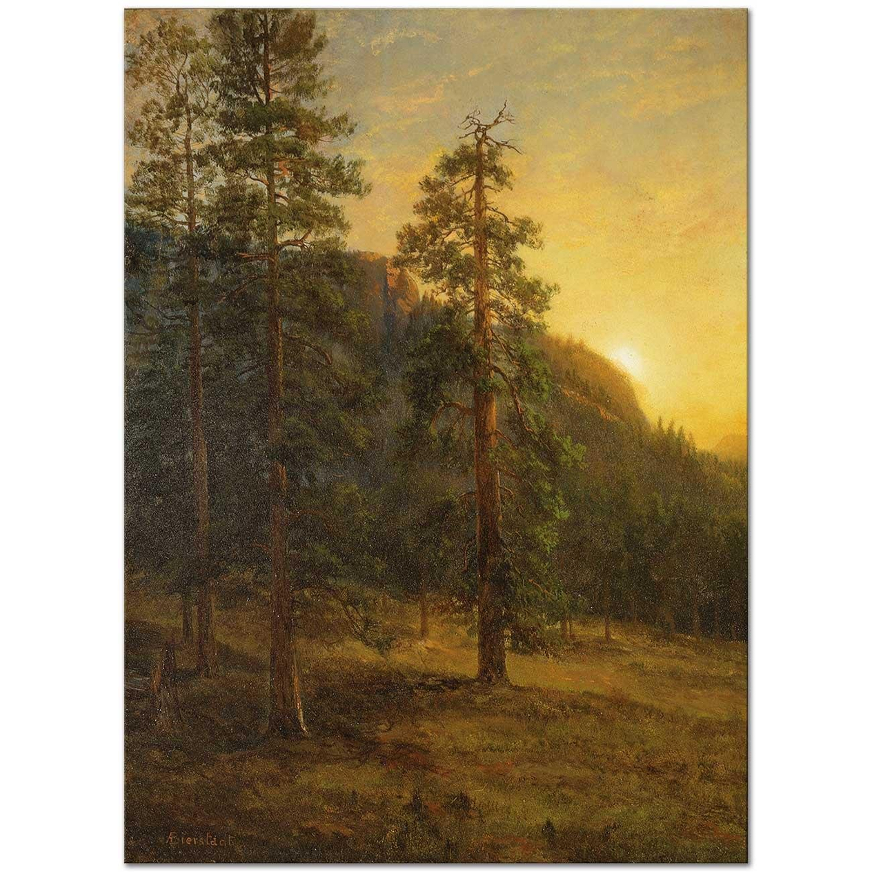 Albert Bierstadt California Redwoods Art Print