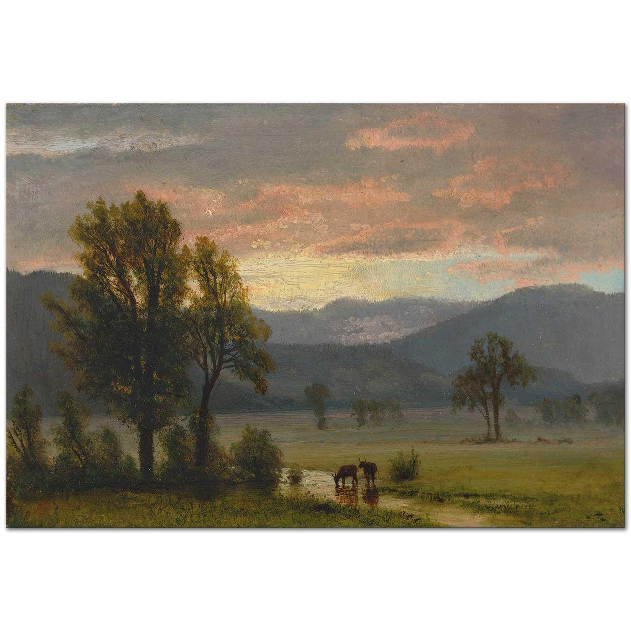 Albert Bierstadt Sığırlar Kanvas Tablo