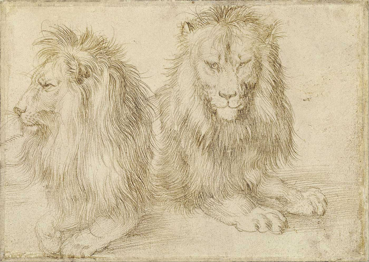 Albrecht Dürer Oturan Aslanlar Kanvas Tablo
