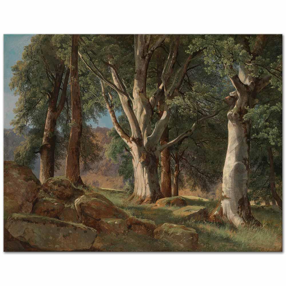The Sycamores by Alexandre Calame