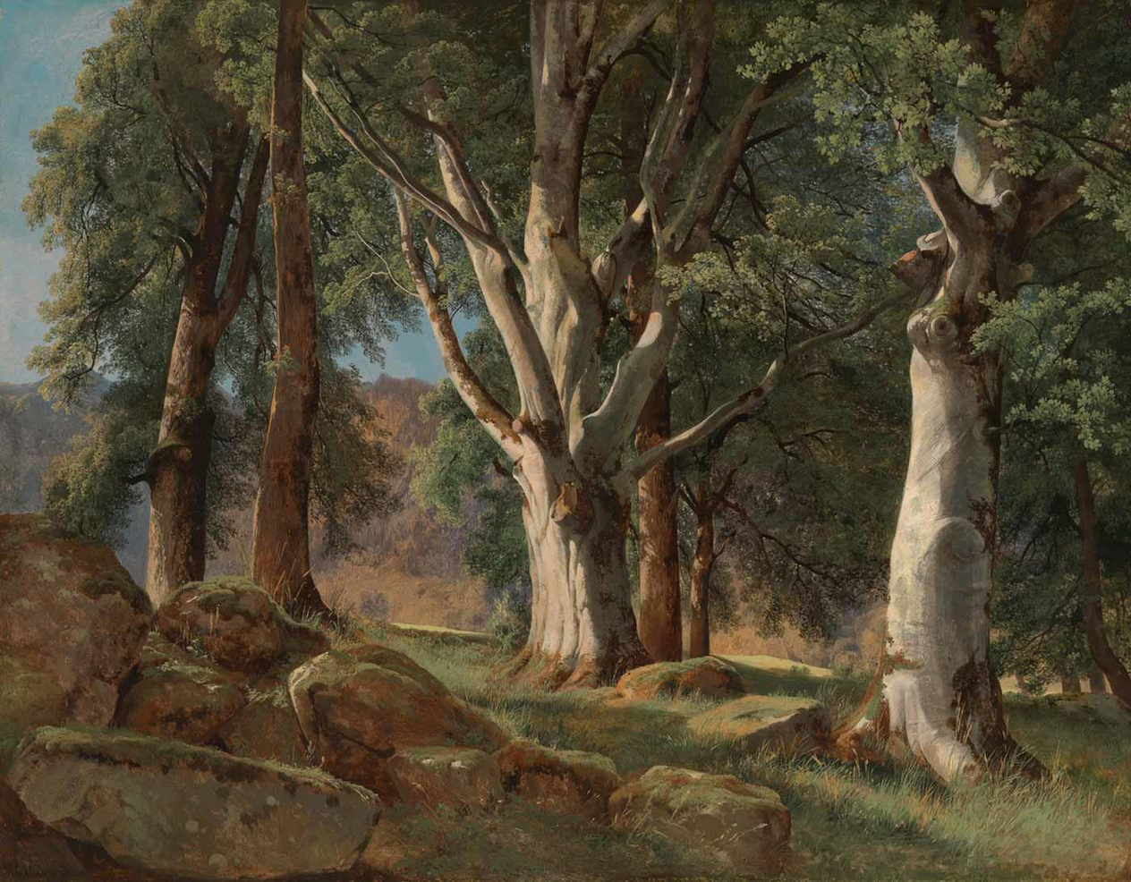The Sycamores by Alexandre Calame