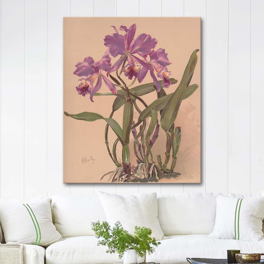 Alice Bailly Aquarelle d'une Orchidée du Genre Cattleya Art Print