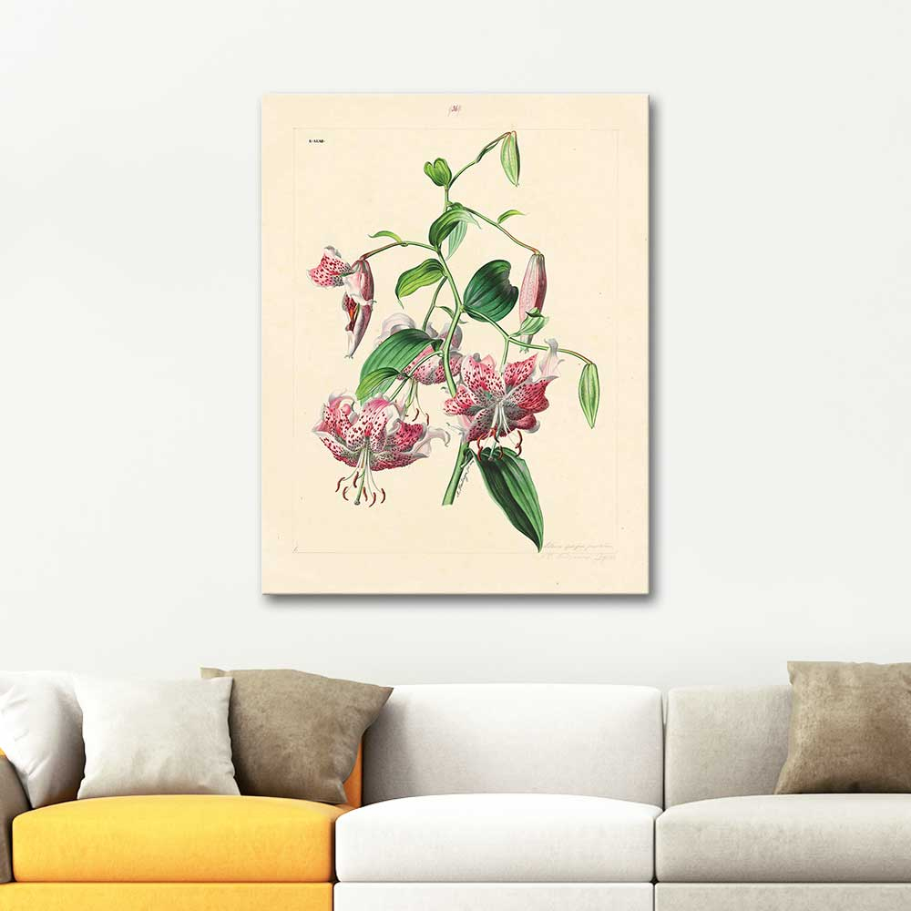 Anton Hartinger Lilium Speciosum Art Print