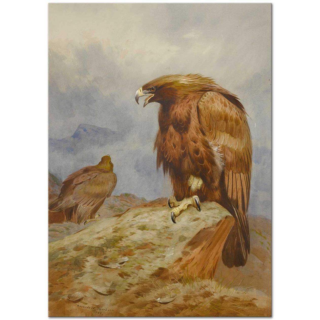 Archibald Thorburn Altın Kartal Çifti Kanvas Tablo