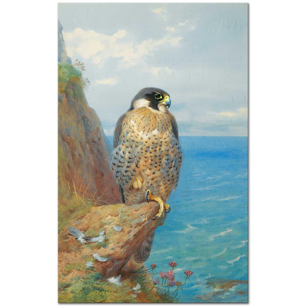 Archibald Thorburn Alaca Doğan Kanvas Tablo