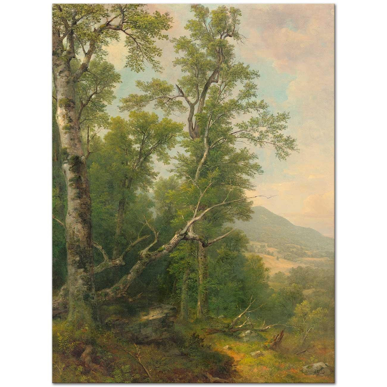 Asher Brown Durand Study of Trees Art Print
