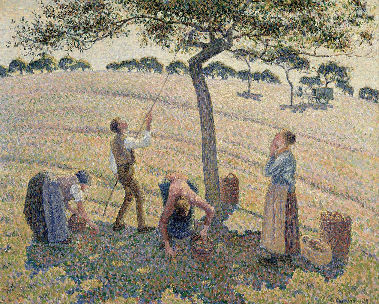 Camille Pissarro Elma Hasadı Kanvas Tablo
