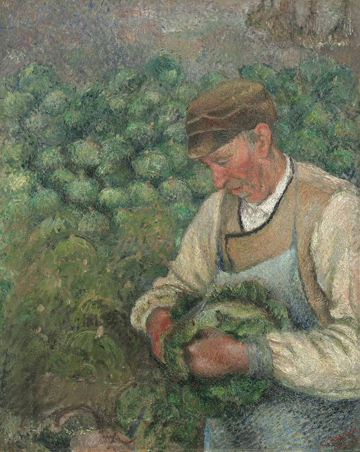 Camille Pissarro The Gardener, Old Peasant with Cabbage Art Print