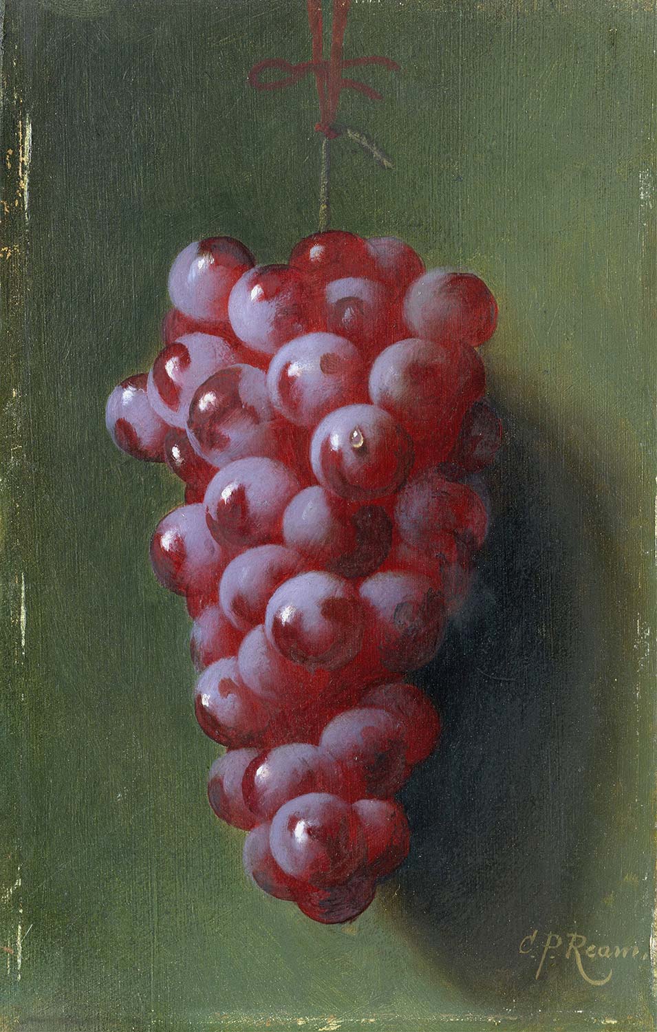 Carducius Plantagenet Ream Still Life with Grapes Art Print