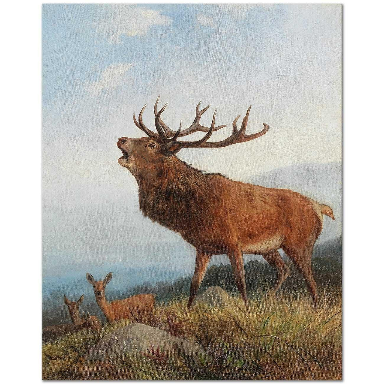 Carl Friedrich Deiker A Bellowing Stag Art Print