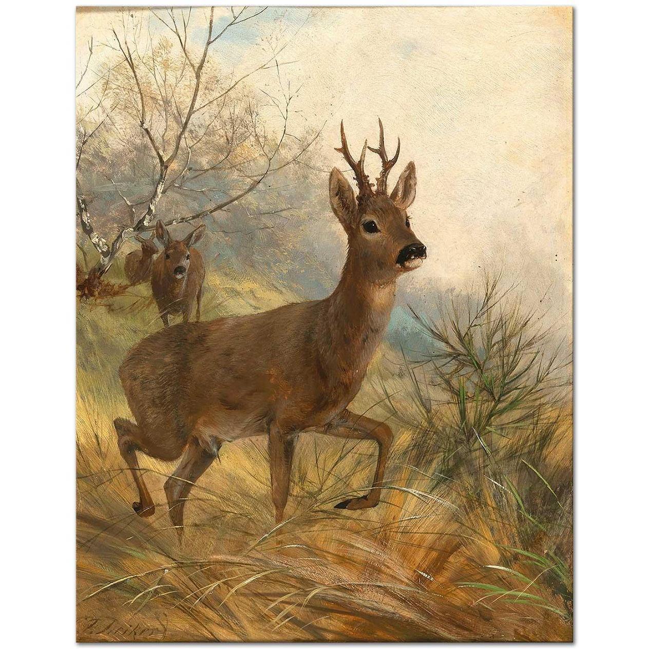 Carl Friedrich Deiker A Buck and a Doe Art Print