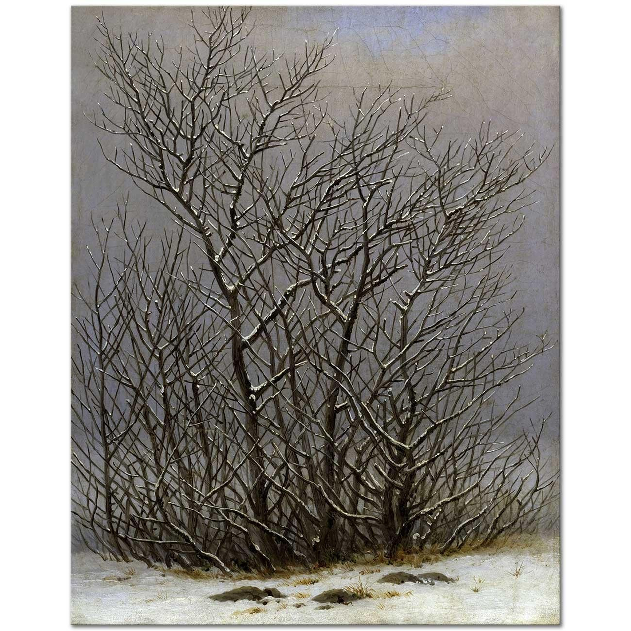 Bushes In The Snow by Caspar David Friedrich