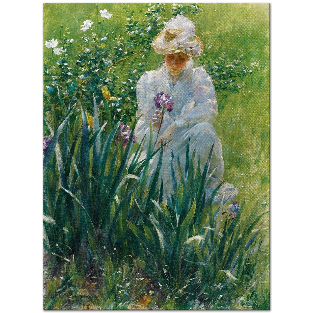 Charles Courtney Curran The Iris Bed Art Print