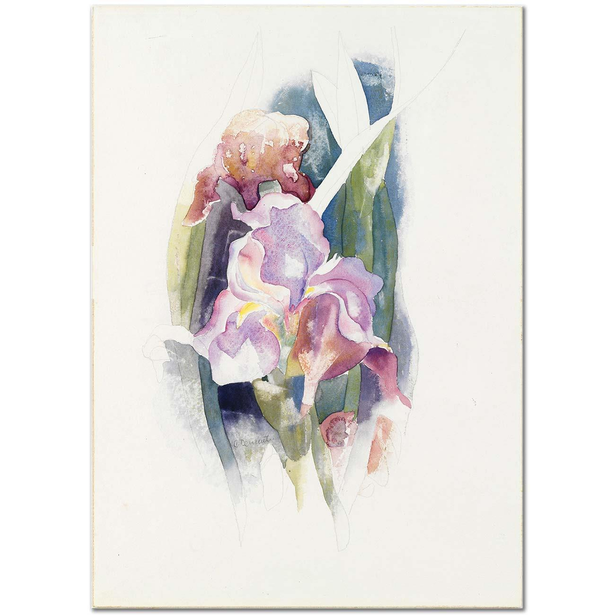 Charles Demuth Purple Iris Art Print