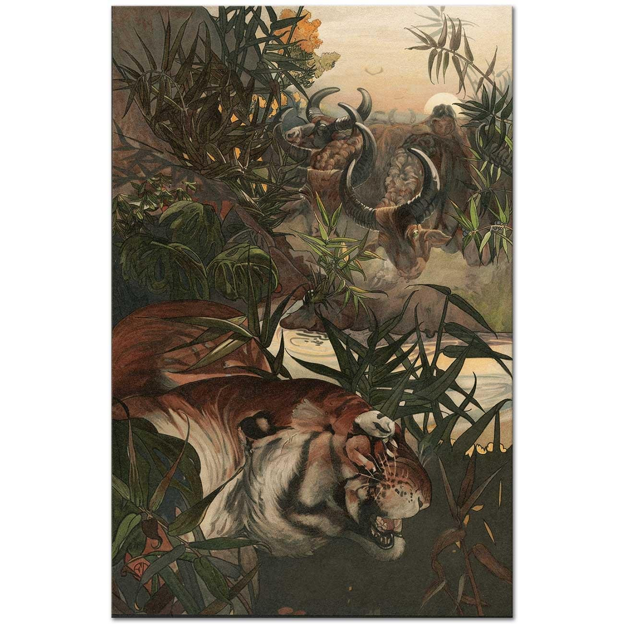 Charles Maurice Detmold Shere Khan In Jungle Art Print