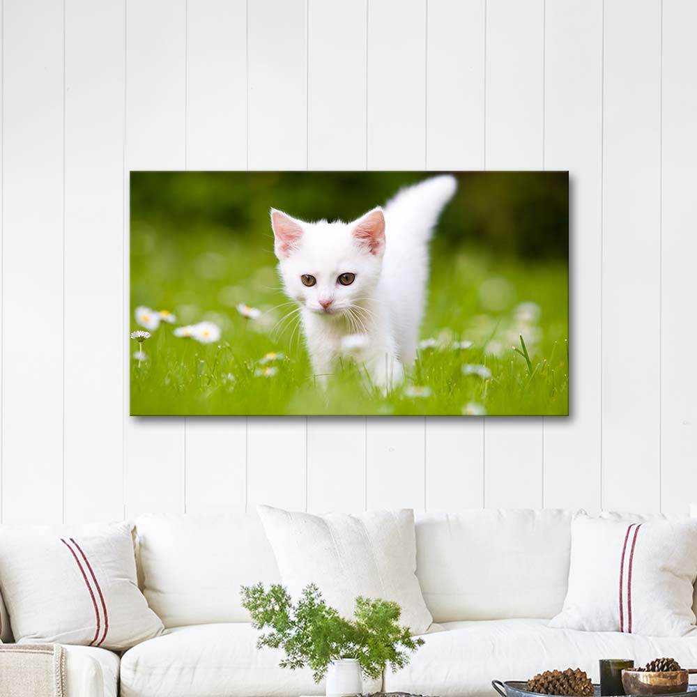 Cute White Kitten Art Print