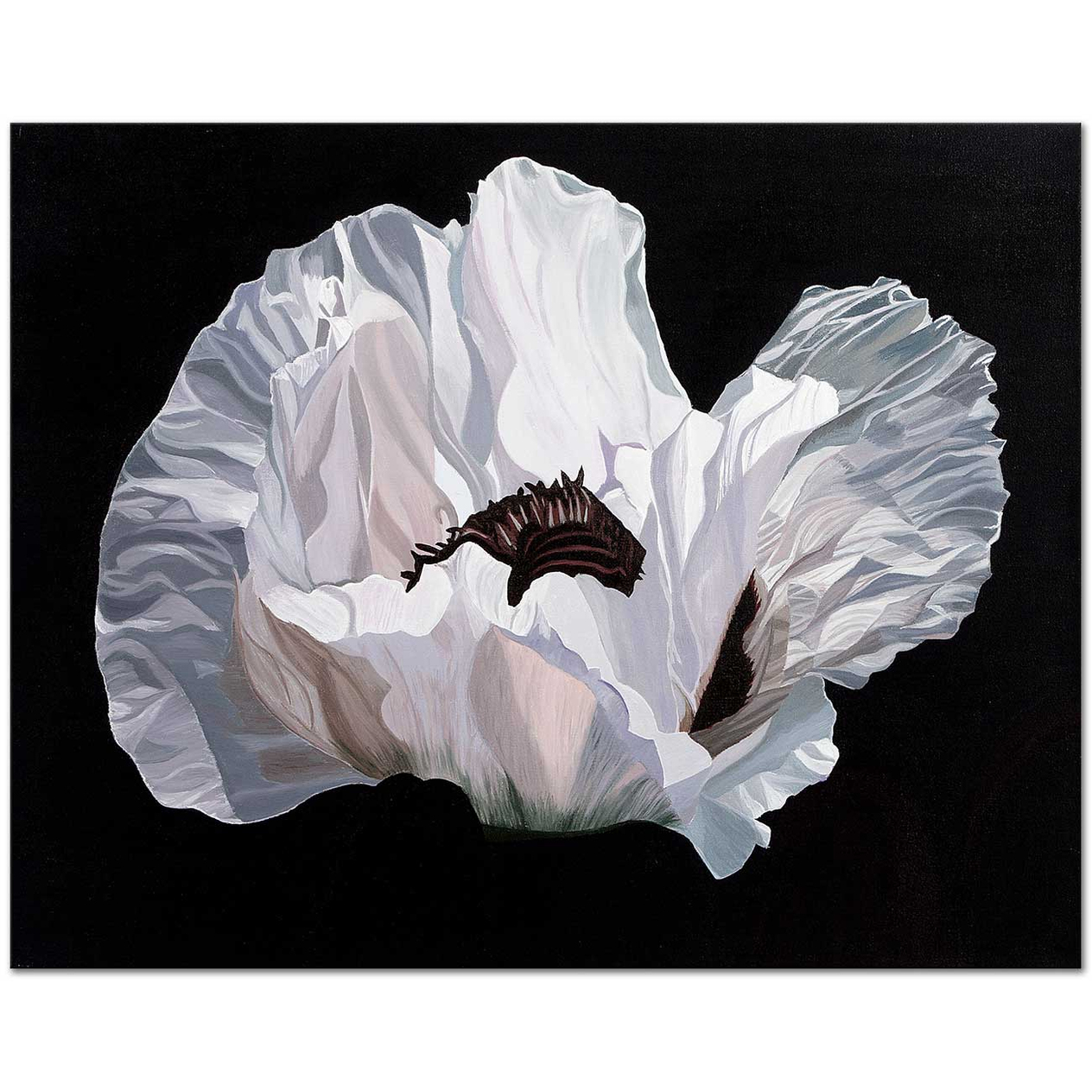 Dagmar Gogdun White Poppy Number II Art Print