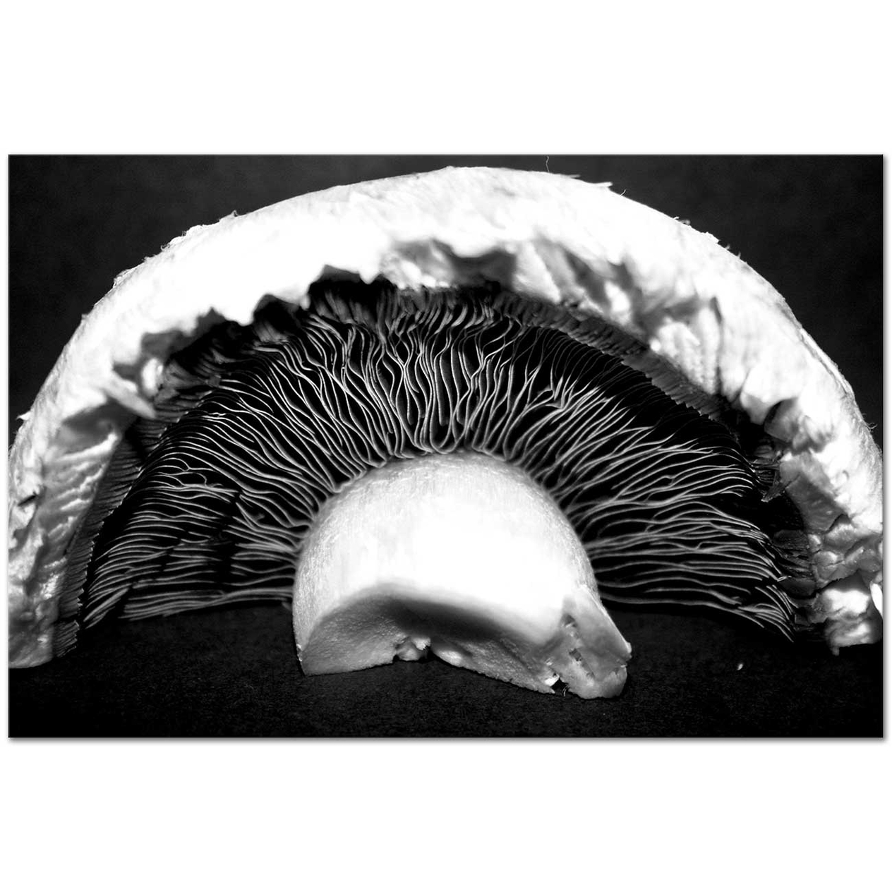 Edward Weston Mantar Kanvas Tablo