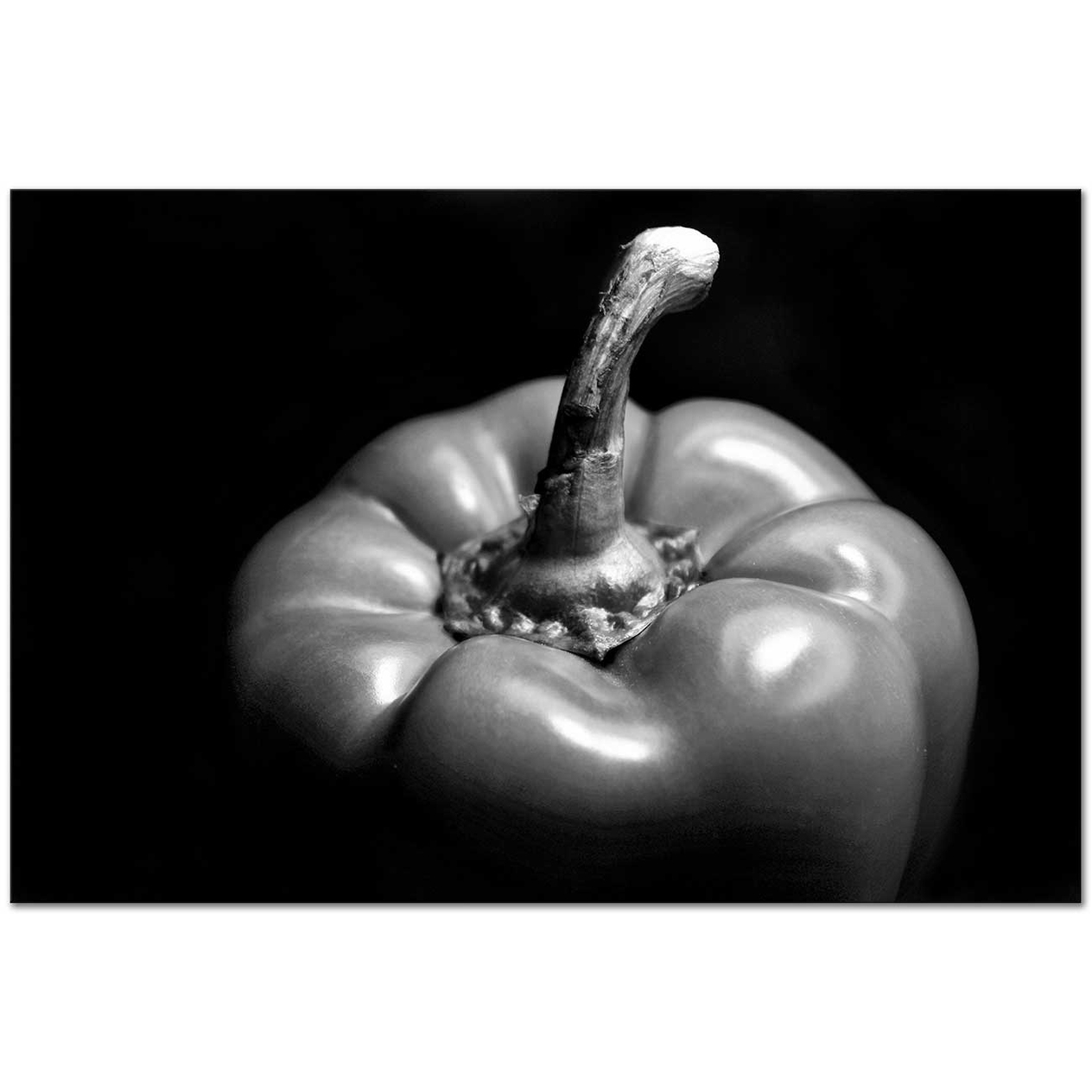 Edward Weston Biber no 24 Kanvas Tablo