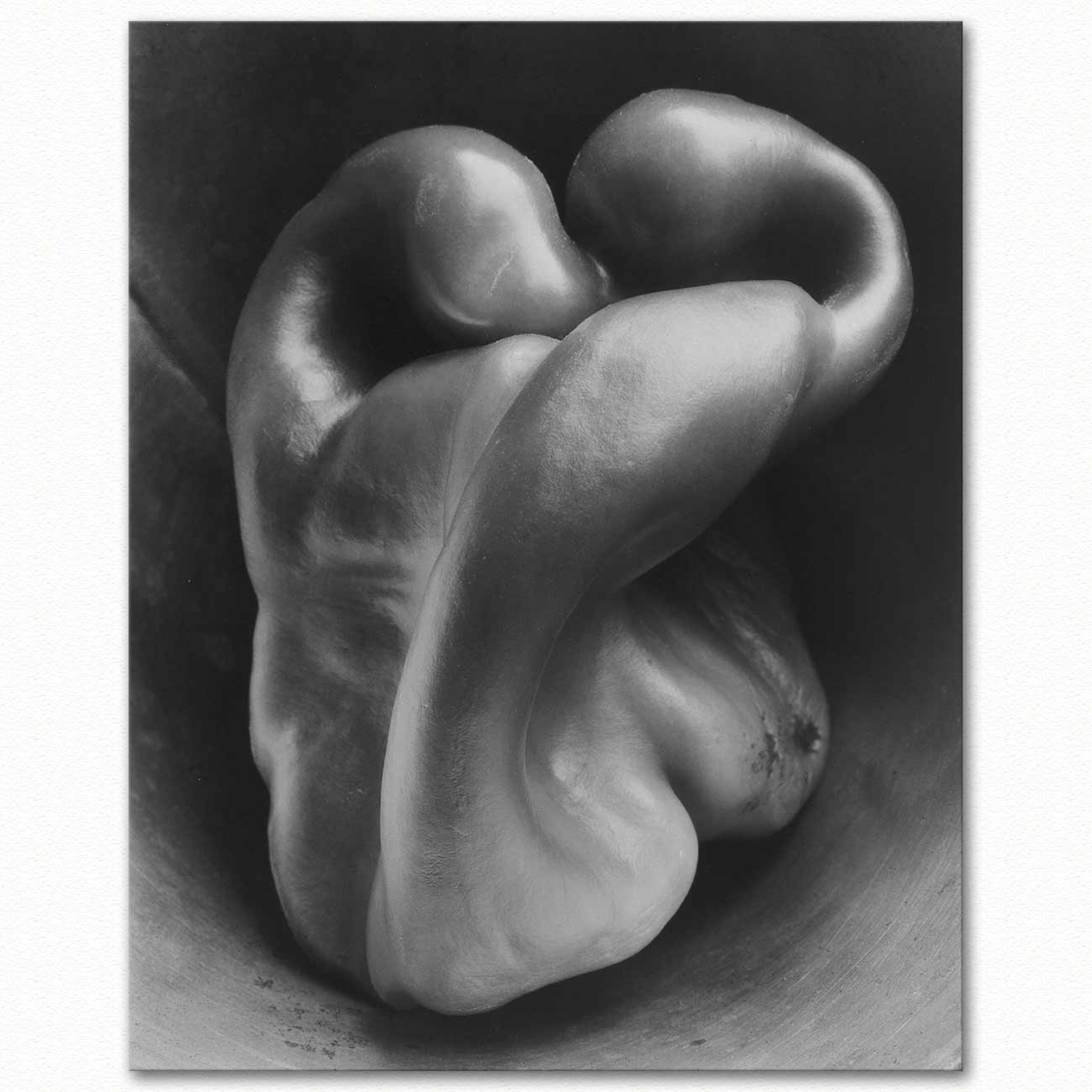 Edward Weston Pepper No 30 Art Print