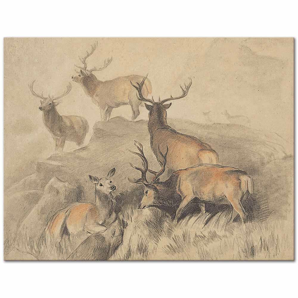 Edwin Henry Landseer Yaban Hayatı Kanvas Tablo