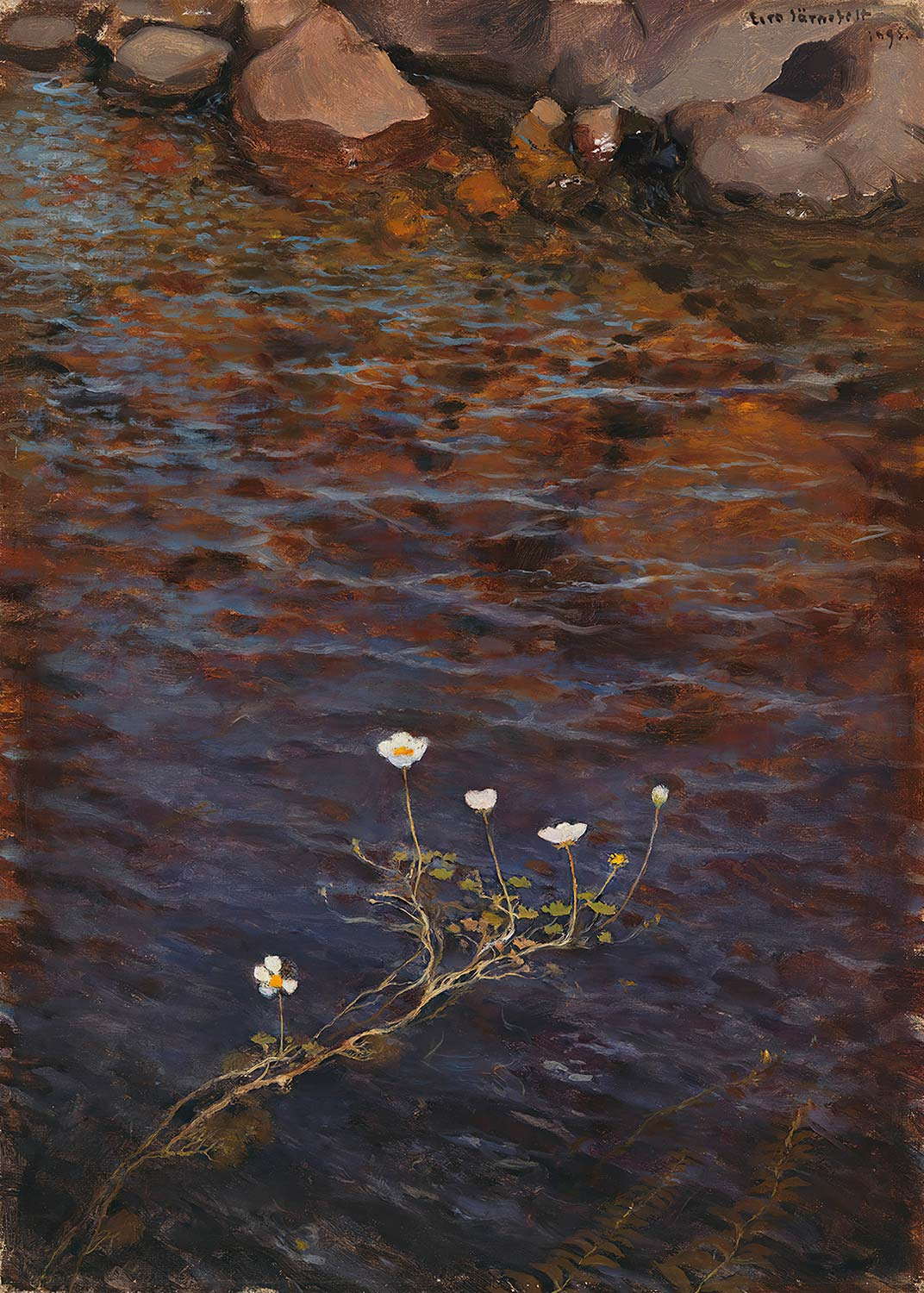 Eero Järnefelt Pond Water Crowfoot Art Print