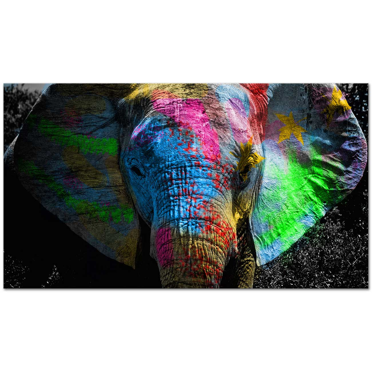 Elephant at Color Festival Art Print