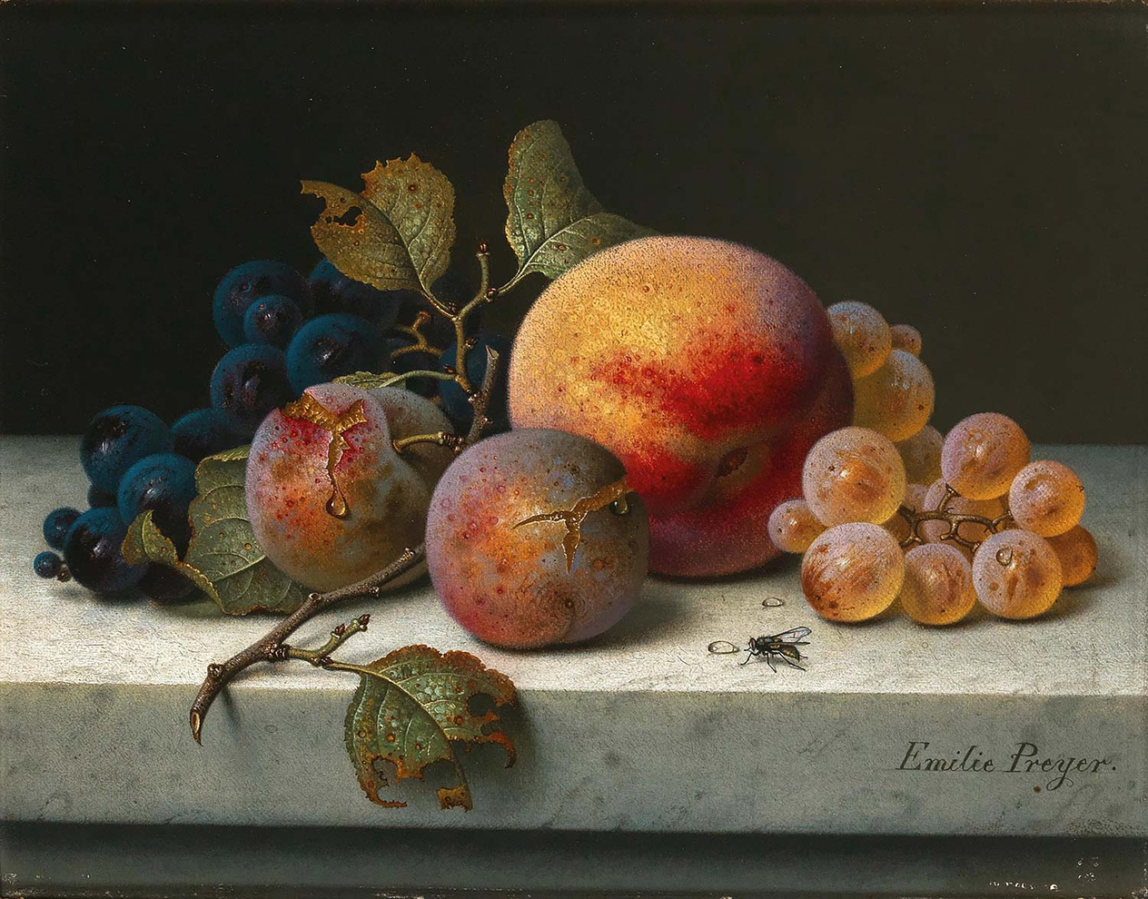 Emilie Preyer Still Life with Peach, Plums, Grapes and a Fly Art Print