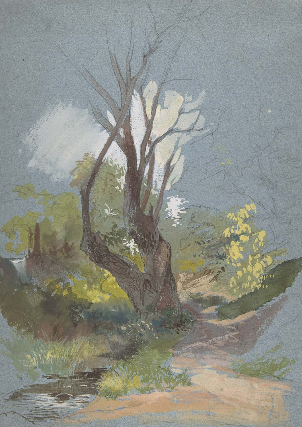 Friedrich Paul Nerly Mountain Path with a Tree Art Print