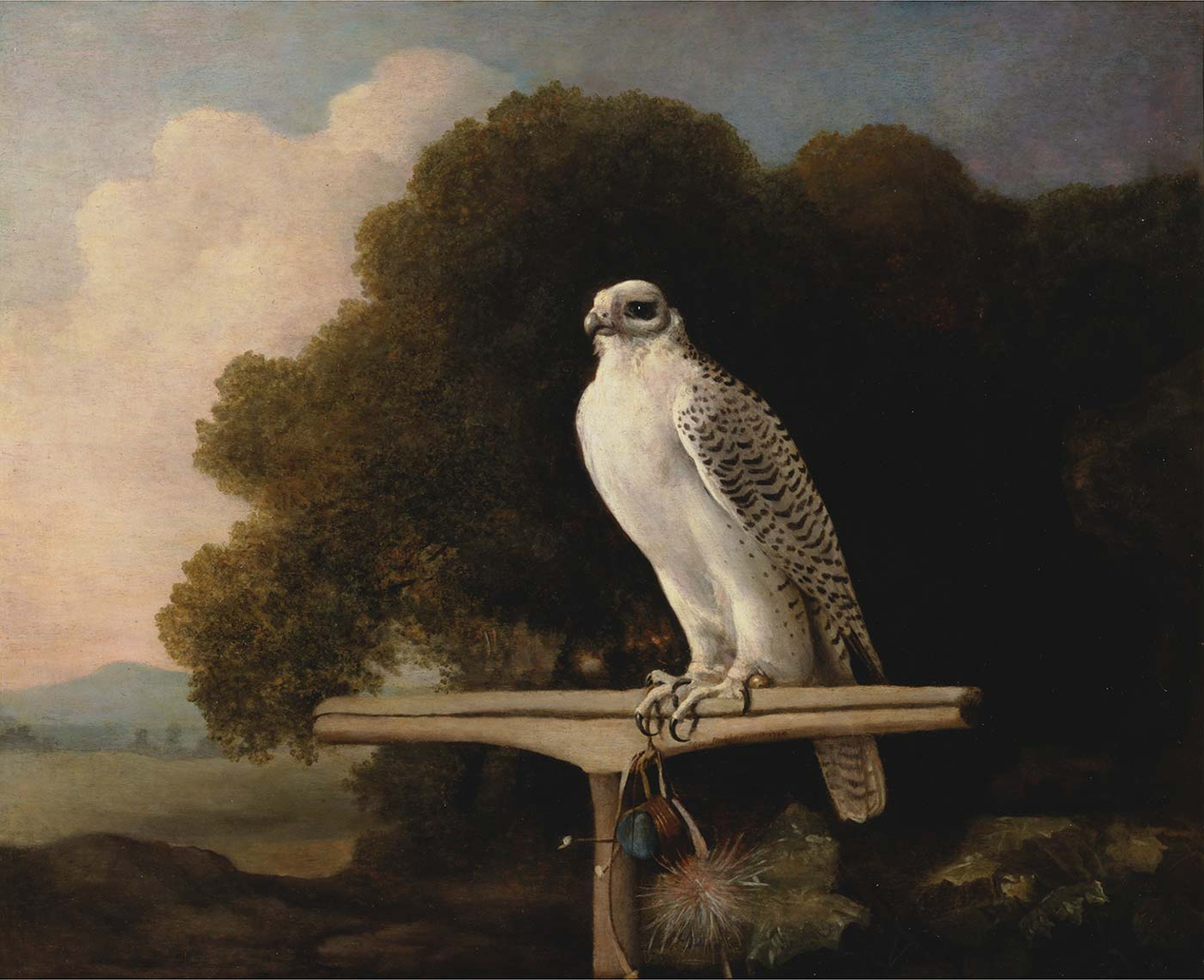 George Stubbs Greenland Falcon Art Print