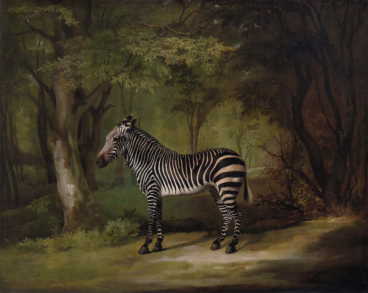 George Stubbs Zebra Art Print