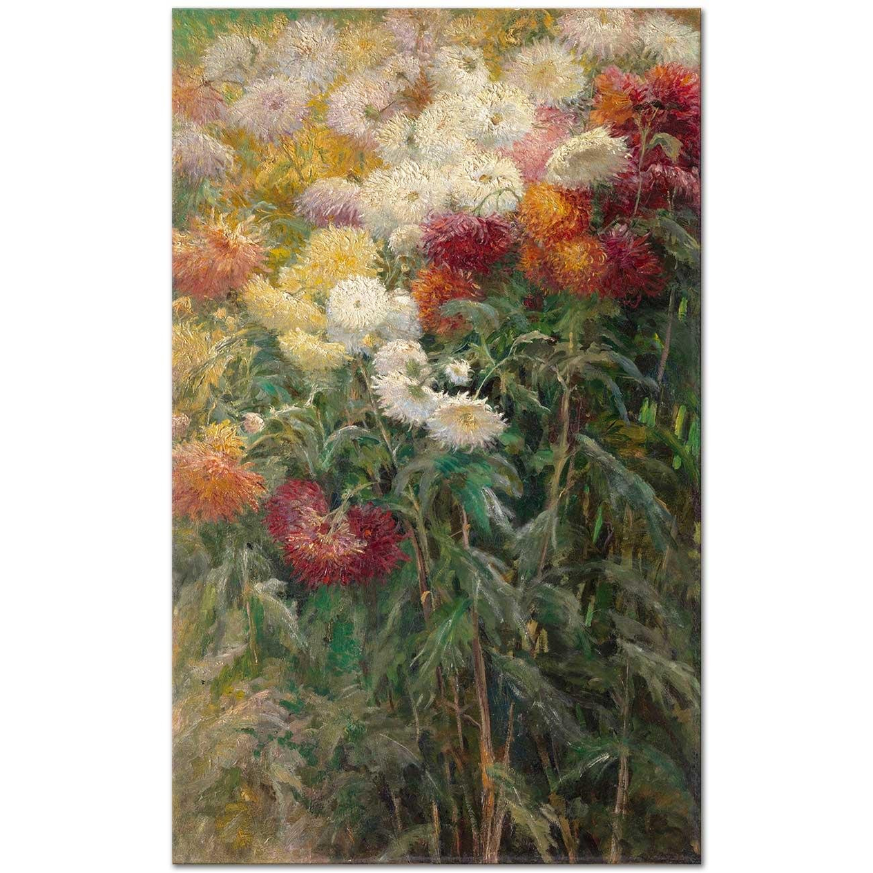 Gustave Caillebotte Krizantemler Kanvas Tablo