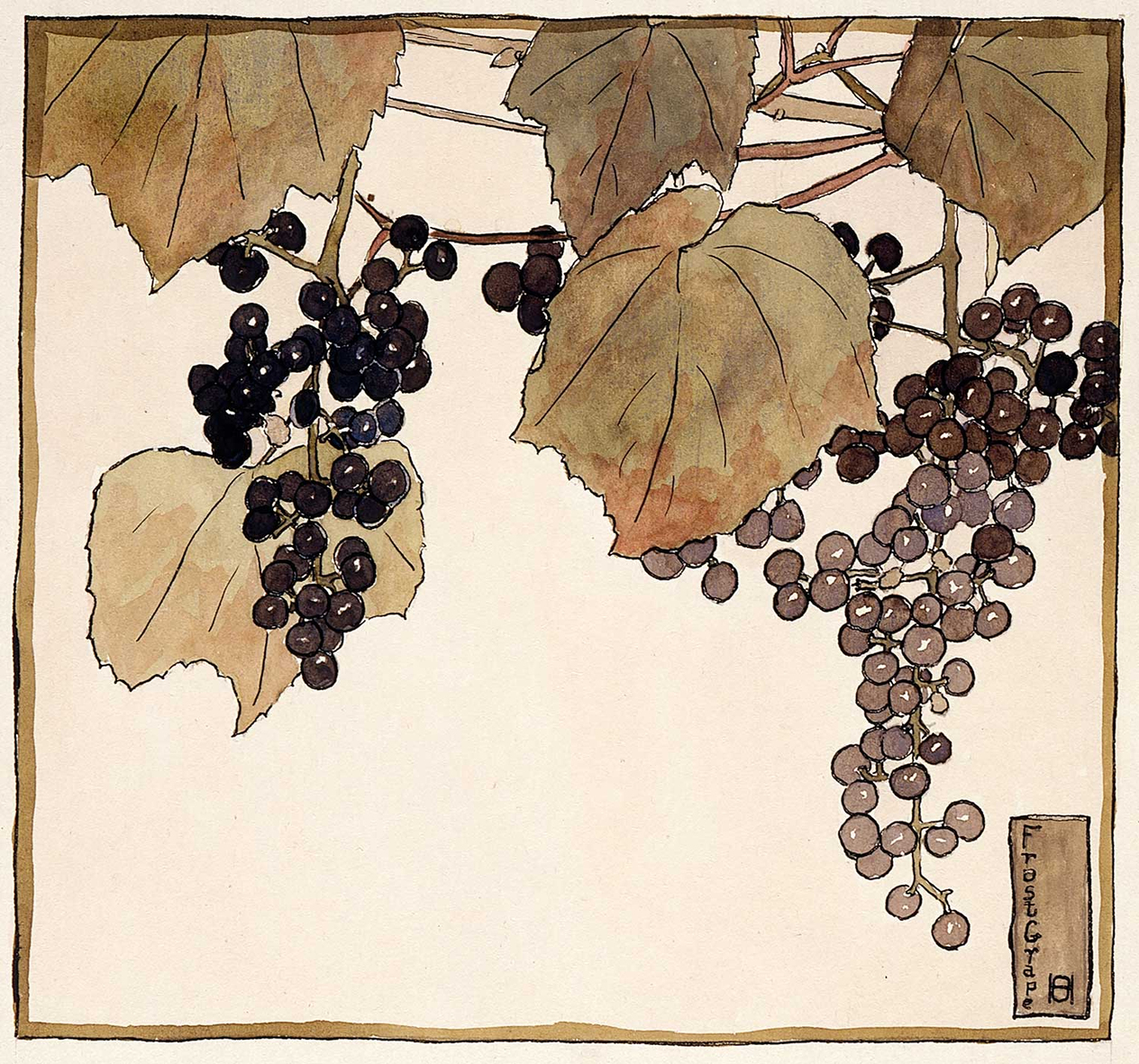 Hannah Borger Overbeck Frost Grape Art Print