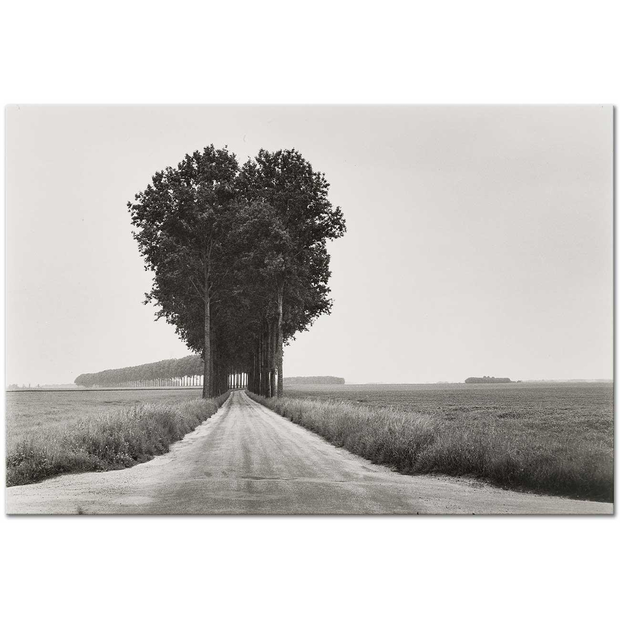 In Brie France by Henri Cartier Bresson