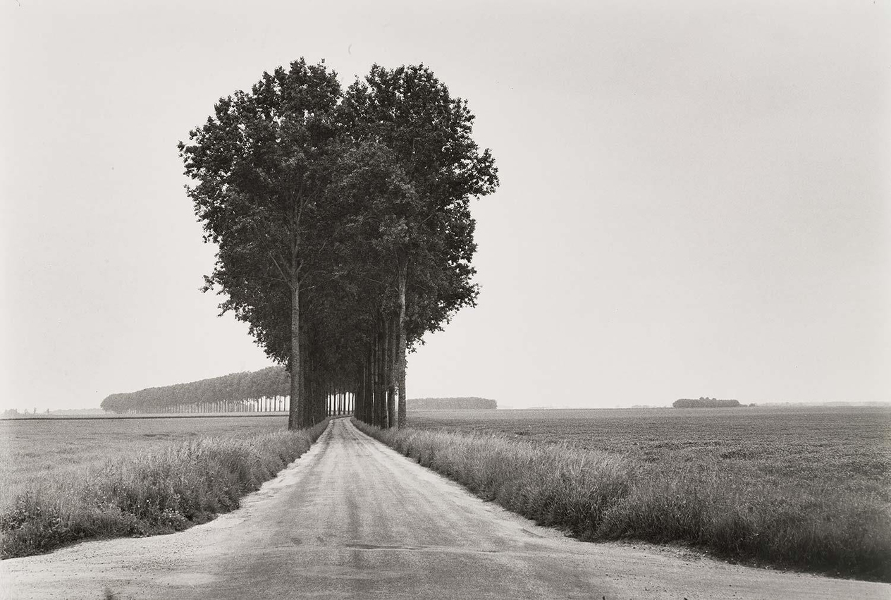 In Brie France by Henri Cartier Bresson