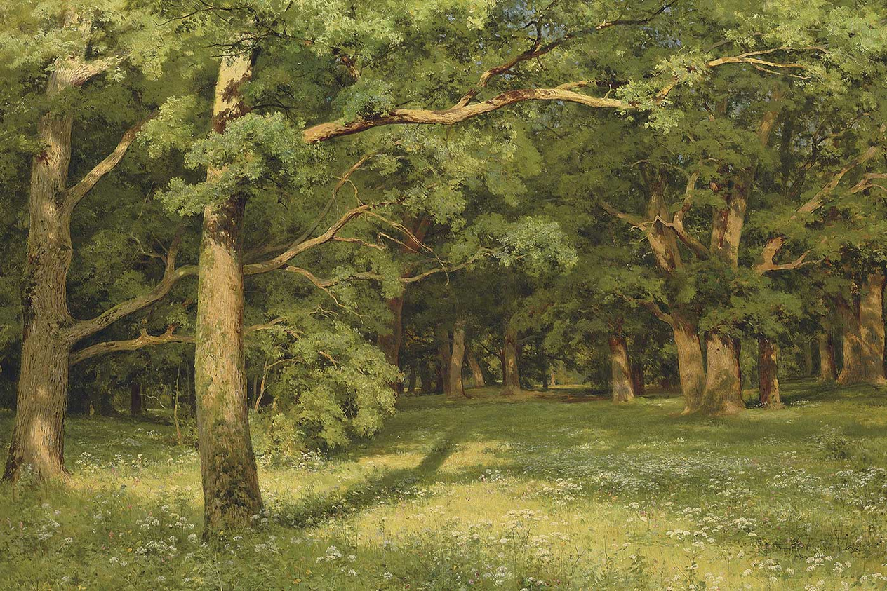 Ivan Shishkin The Forest Clearing Art Print